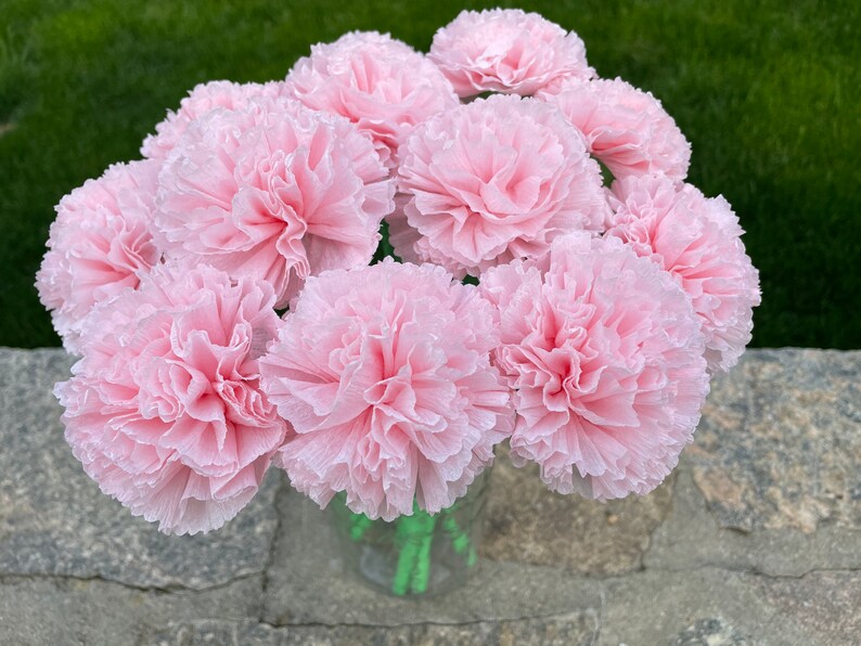 Light Pink Paper Carnation Bouquet, Carnation Flowers, Flower Arrangement, Happy Birthday. One Dozen image 6