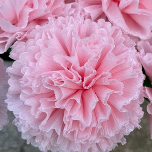 Light Pink Paper Carnation Bouquet, Carnation Flowers, Flower Arrangement, Happy Birthday. One Dozen image 7