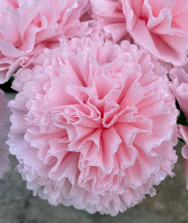 Light Pink Paper Carnation Bouquet, Carnation Flowers, Flower Arrangement, Happy Birthday. One Dozen image 7