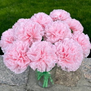 Light Pink Paper Carnation Bouquet, Carnation Flowers, Flower Arrangement, Happy Birthday. One Dozen image 5
