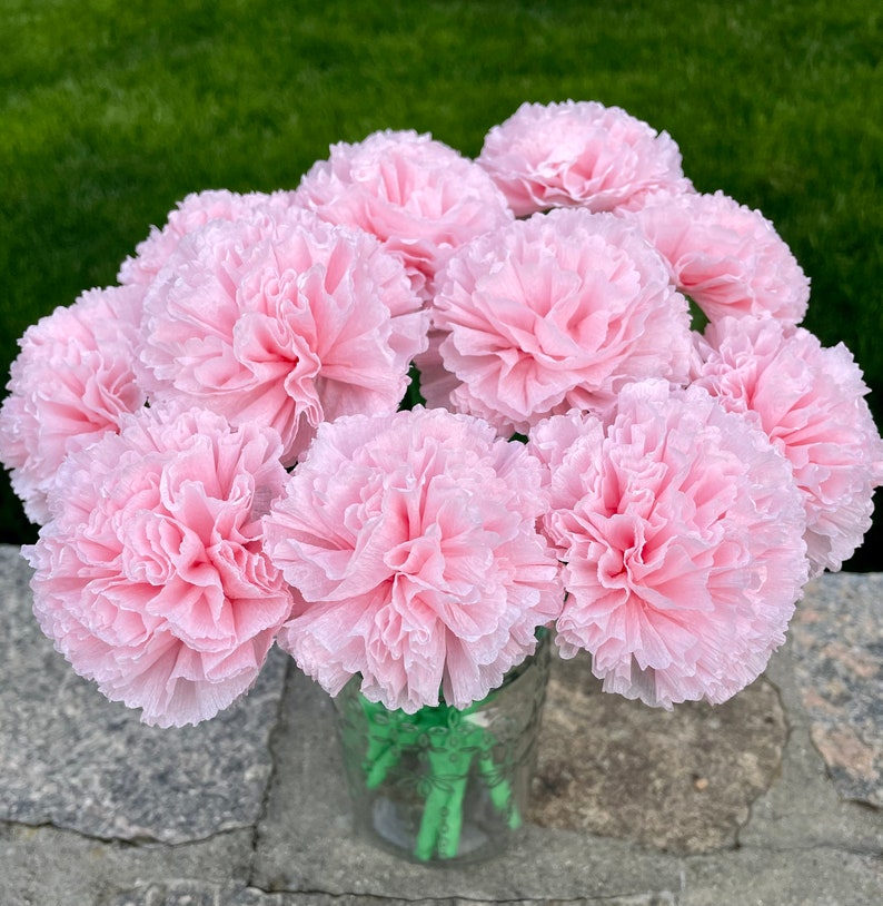 Light Pink Paper Carnation Bouquet, Carnation Flowers, Flower Arrangement, Happy Birthday. One Dozen image 5