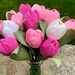 see more listings in the Garden tulips section