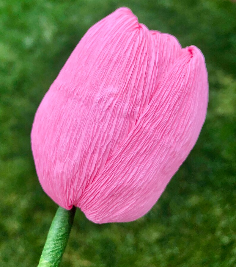 Pink Crepe Paper Tulip Bouquet, Crepe Paper Flowers, Artificial Tulips, Happy Birthday Gift, Happy Anniversary Bouquet. 8 Stems Baby Pink