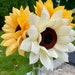 see more listings in the  Sunflower  section