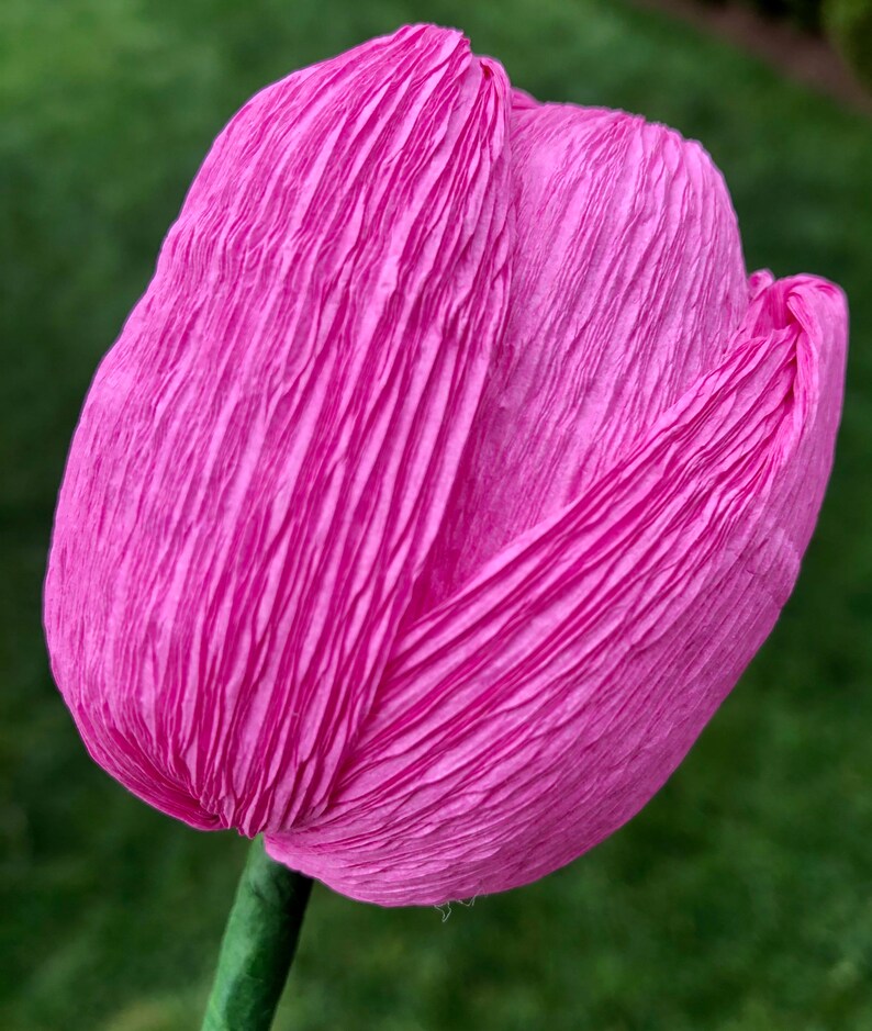 Pink Crepe Paper Tulip Bouquet, Crepe Paper Flowers, Artificial Tulips, Happy Birthday Gift, Happy Anniversary Bouquet. 8 Stems Peony Pink