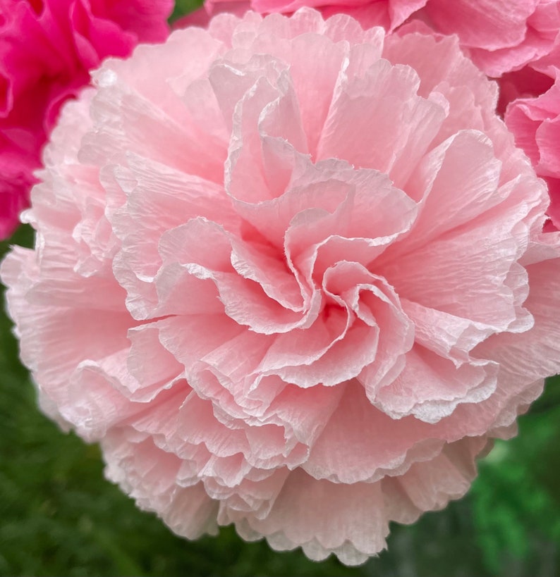 Light Pink Paper Carnation Bouquet, Carnation Flowers, Flower Arrangement, Happy Birthday. One Dozen image 4