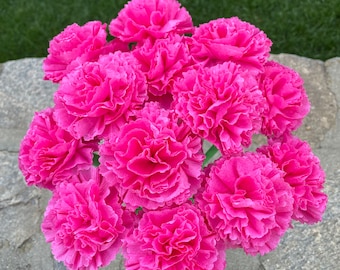 Handmade Carnation Bouquet -Crepe Paper Flowers -  A Timeless Gesture of Love and Appreciation&quot;