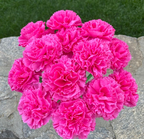 Bright Pink Paper Carnation Bouquet, Carnation Flowers, Flower Arrangement,  Happy Birthday. one Dozen 