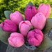 see more listings in the Garden tulips section