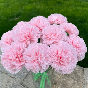 Light Pink Paper Carnation Bouquet, Carnation Flowers, Flower Arrangement, Happy Birthday. One Dozen image 2