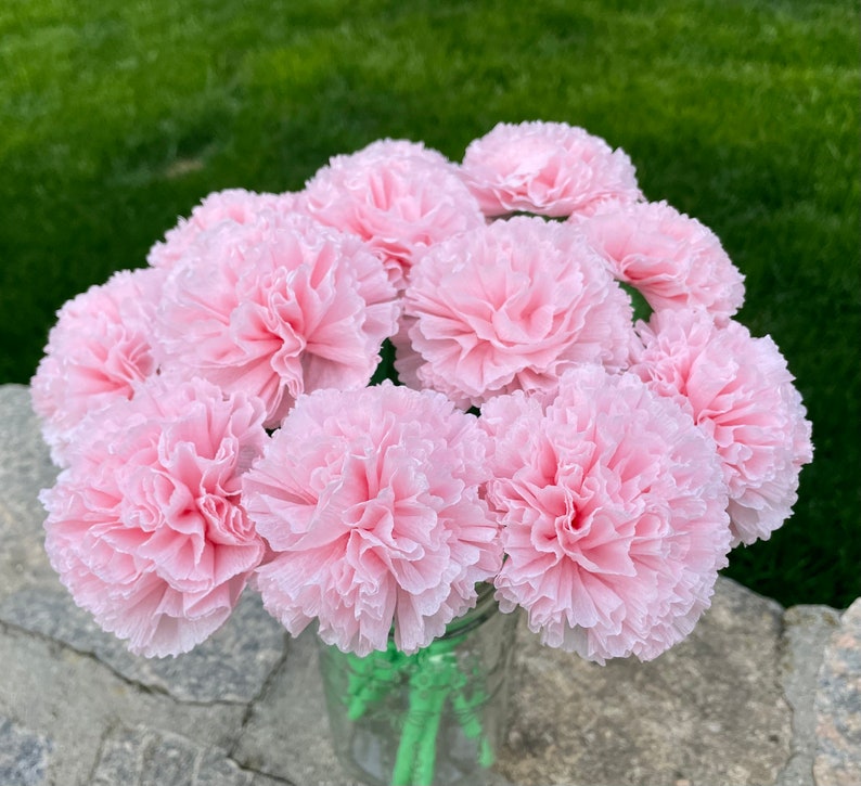 Light Pink Paper Carnation Bouquet, Carnation Flowers, Flower Arrangement, Happy Birthday. One Dozen image 2