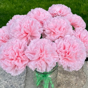 Light Pink Paper Carnation Bouquet, Carnation Flowers, Flower Arrangement, Happy Birthday. One Dozen image 1