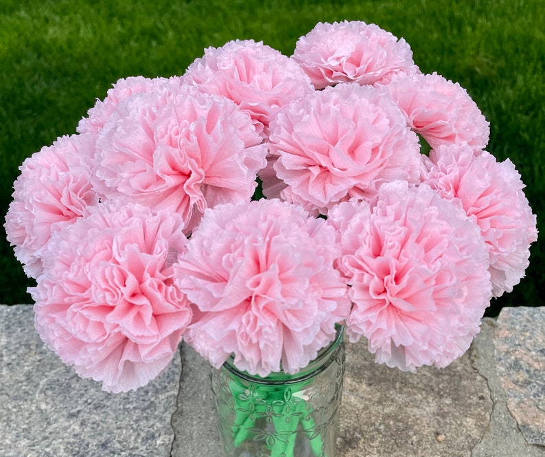 Light Pink Paper Carnation Bouquet, Carnation Flowers, Flower Arrangement, Happy Birthday. One Dozen image 1