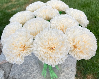 Handmade Crepe Paper Carnation Bouquet for Mother&#39;s Day, Birthdays, Graduation for Any Special Event