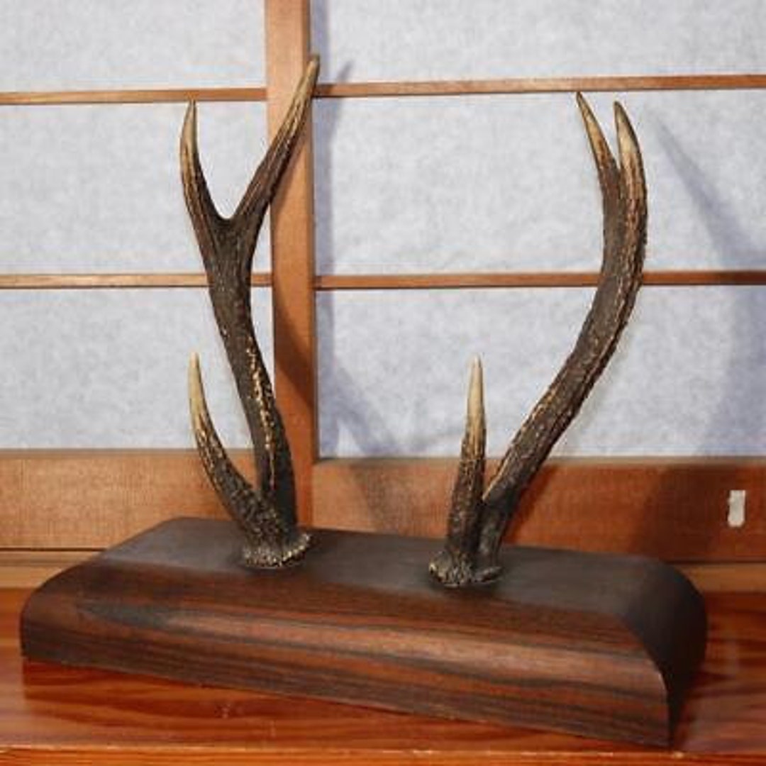 Japanese Wooden Sword Rack Stand Kazuno SWR306 Etsy