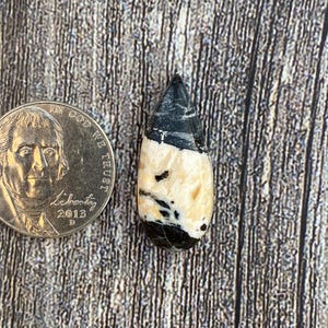 Cabujón de búfalo blanco de 14,95 quilates {PZ=538}, piedra preciosa, cabujón, piedra pulida