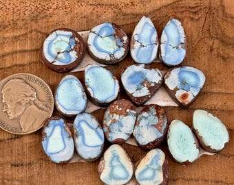 Puede incluir: Una colección de quince cabujones de turquesa pulidos, con formas de lágrima y ovaladas, que presentan patrones jaspeados en azul claro y blanco con matriz marrón, junto a una moneda de cinco centavos estadounidense de 1957.
