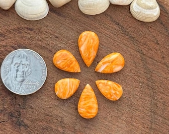 Orange Spiny Oyster Naja Set |Cabochon | Gemstone | Cab | Polished Stone