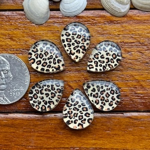 Op de afbeelding: Zes druppelvormige cabochons met een luipaardprint, in een cirkelvorm gerangschikt. De cabochons zijn transparant met een beige en bruin gevlekt ontwerp. Er zijn ook verschillende schelpen en een munt zichtbaar.