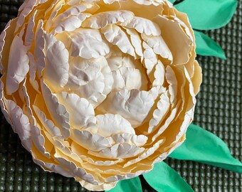 3D SVG Paper Peony – A Must-Have for Cricut Beginners!
