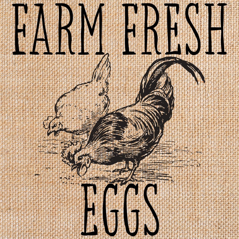 png svg eps and dxf cricut silhouette stencil or transfer Printable Farm Fresh Eggs for decorative sign