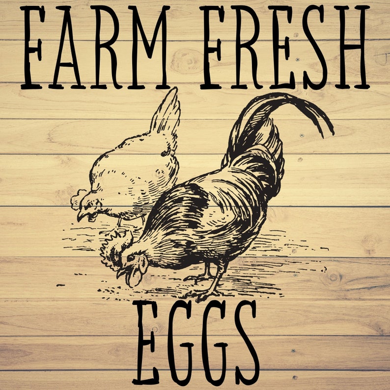 png svg eps and dxf cricut silhouette stencil or transfer Printable Farm Fresh Eggs for decorative sign