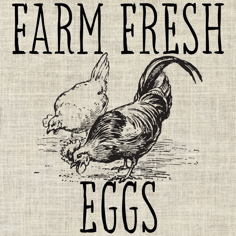png svg eps and dxf cricut silhouette stencil or transfer Printable Farm Fresh Eggs for decorative sign