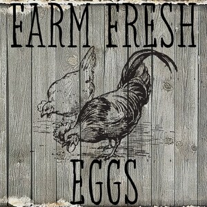 Printable Farm Fresh Eggs for decorative sign png svg eps and | Etsy