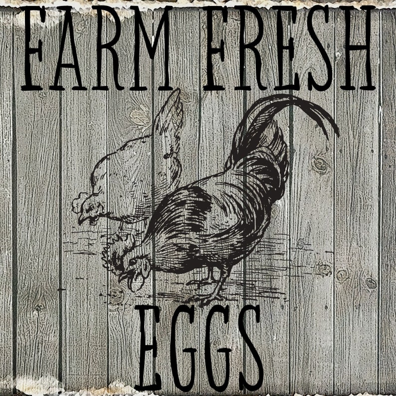 png svg eps and dxf cricut silhouette stencil or transfer Printable Farm Fresh Eggs for decorative sign
