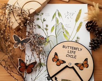 Drewniany cykl życia motyla Edukacja Montessori | cykl życia motyla | wyjątkowa zabawka dla dzieci | Zabawka rowerowa dla zwierząt | Cykl życia