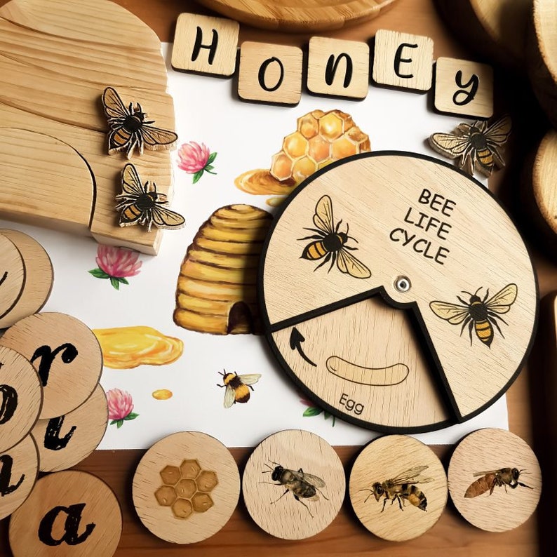 Wooden Bee Life Cycle Montessori Education image 1