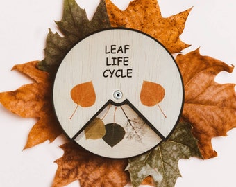 Wooden Leaf Life Cycle Montessori Education