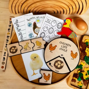 Ciclo de vida del pollo de madera Educación Montessori
