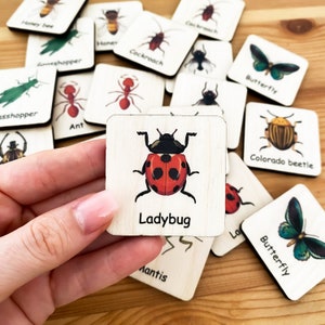 Käfer-Memory-Spiel, Montessori-Memory-Spiel aus Holz, Homeschool-Kindergarten, Vorschul-Kleinkind-Aktivität, Lernspielzeug, passende Karten