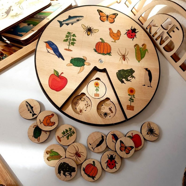 Life Cycles Match up Puzzle - Etsy
