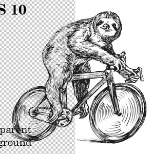 100% sloth on a bike author's drawing on a transparent background vector eps printable, funny print, funny t-shirt, funny animals, EPS 10 image 3