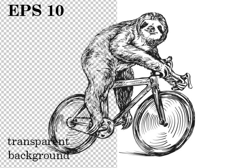 100% sloth on a bike author's drawing on a transparent background vector eps printable, funny print, funny t-shirt, funny animals, EPS 10 image 3