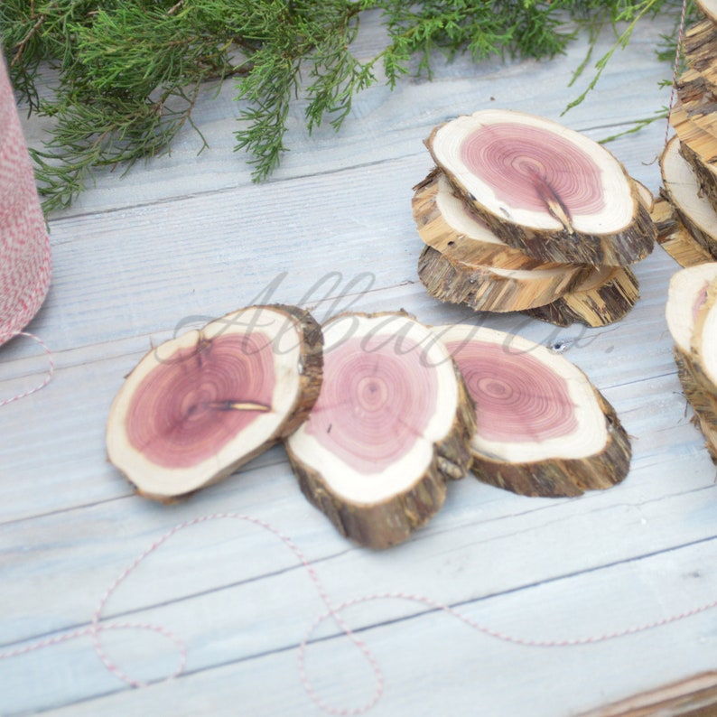 Cedar wood cookies/slices for crafting rustic Christmas Etsy