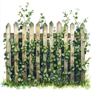 Op de afbeelding: Een houten schutting met groene wijnstokken die eroverheen groeien. De schutting is verweerd en heeft een rustieke uitstraling. De wijnstokken zijn weelderig en groen en voegen een vleugje natuur toe aan de schutting.