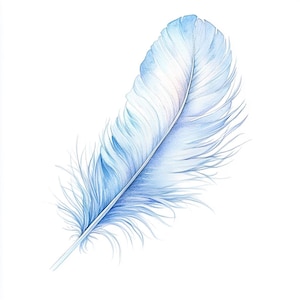 Elegante veer, afdrukbare aquarel clipartbundel, 10 hoogwaardige aquarel jpg's, knutselen en kaarten maken