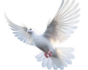 White Dove of Peace in Flight, Printable Watercolor Clipart Bundle, 10 High Quality Watercolor JPG, Instant Downlod