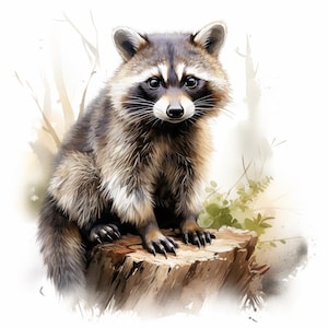 Raccoon Watercolor Clipart, Printable Watercolor clipart, 10 High Quality Watercolor JPGs, Paper crafts, Card Making