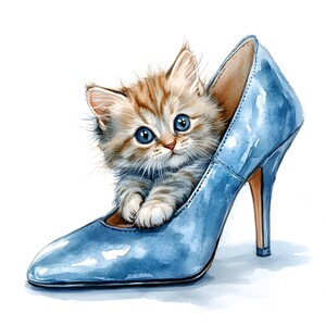 May include: A small kitten with brown and white fur sits inside a blue high-heeled shoe. The kitten has blue eyes and is looking directly at the viewer.