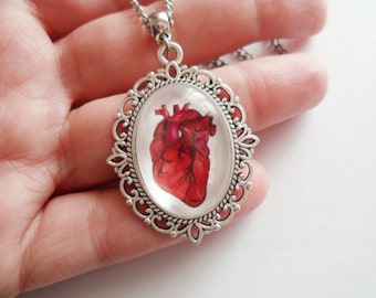 May include: A silver pendant necklace with a detailed filigree frame. Inside the frame is a clear glass dome with a red anatomical heart illustration.