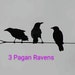 Pagan Raven