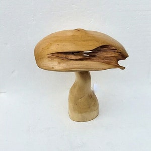 Reclaimed Teak Mushroom Stool Collection