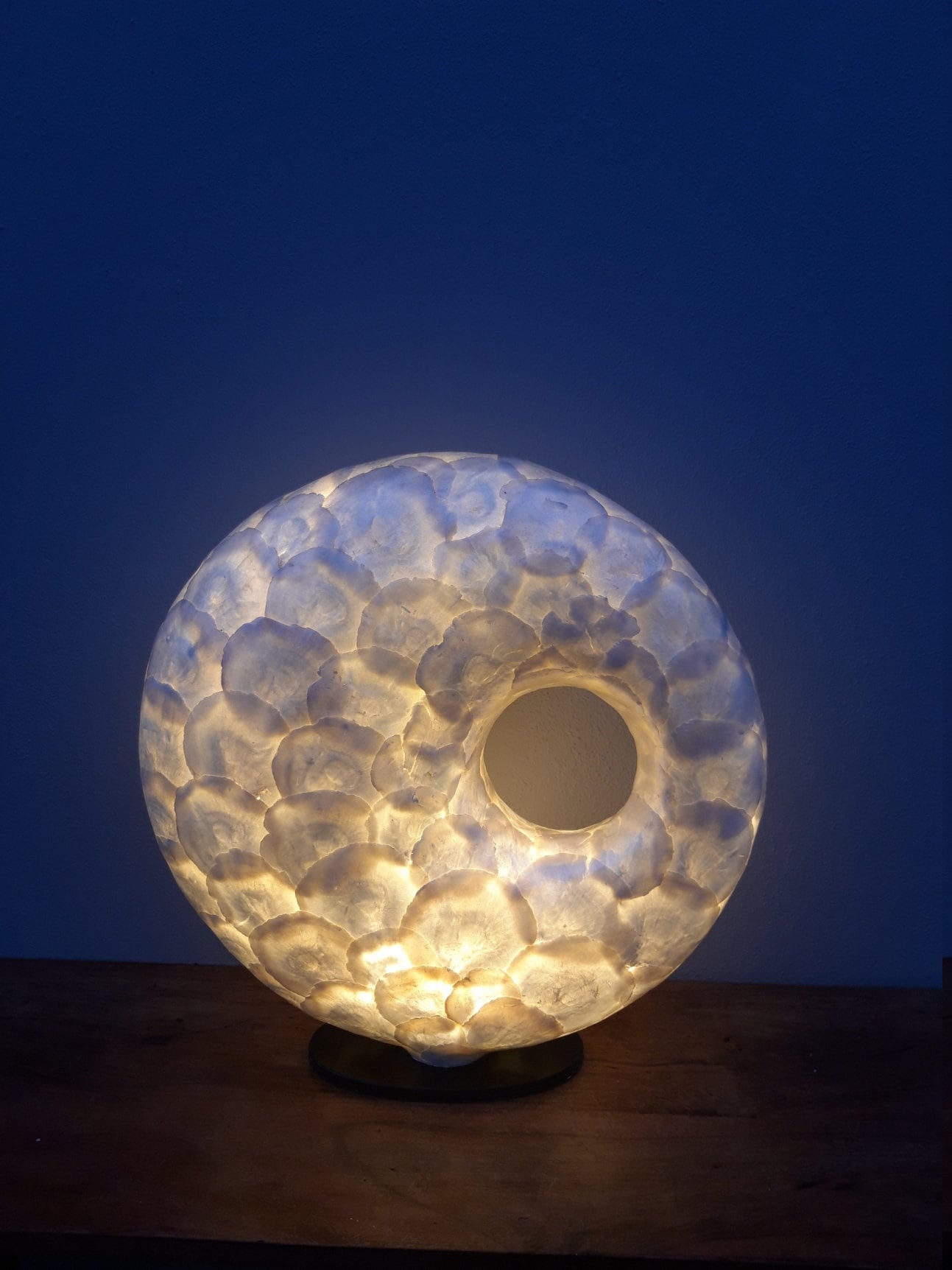 Shell Style Lamp Contemporary Style Shell Sculpture Lamp Designer Shell Lamp 50cm - Etsy UK