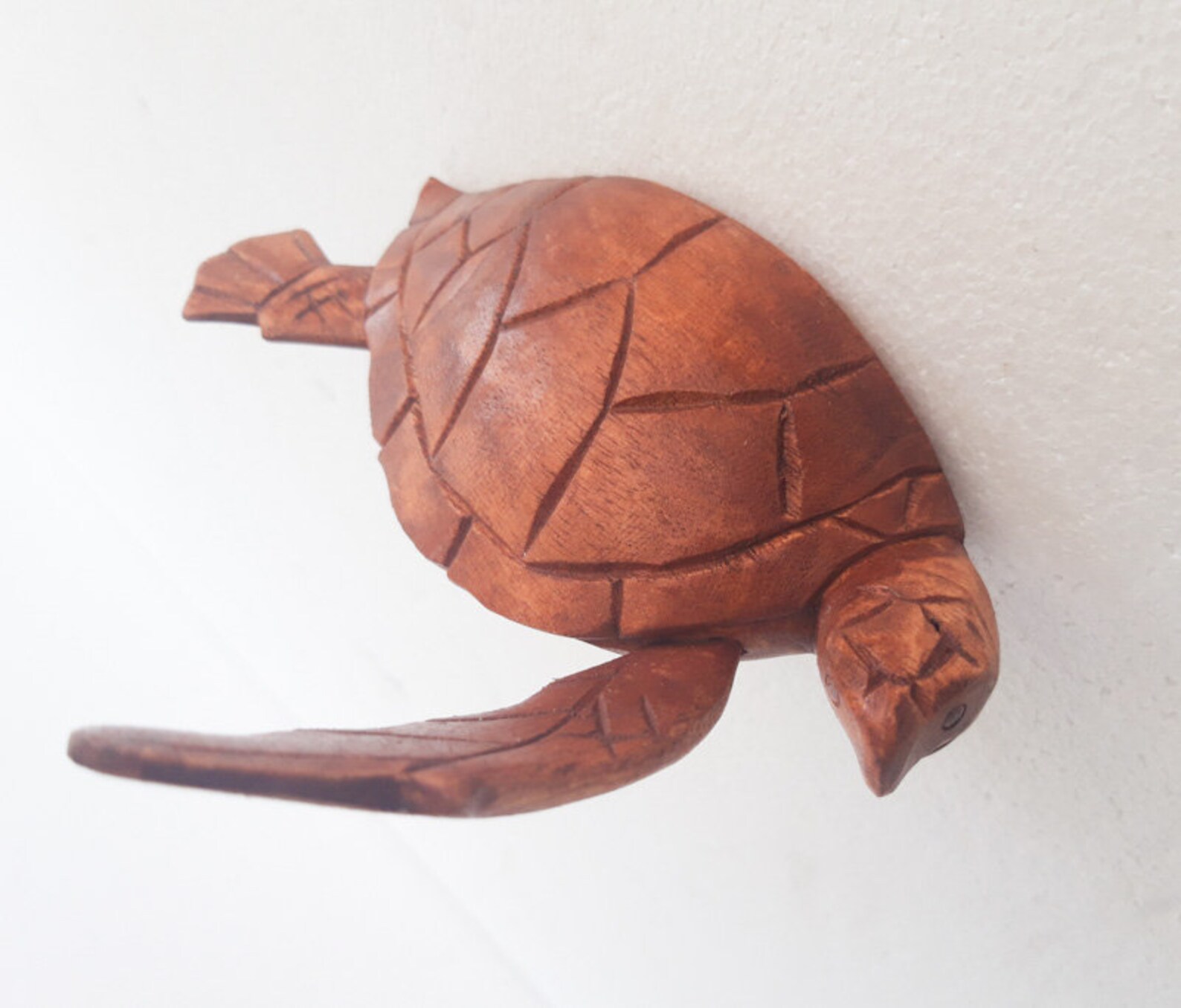 Green Sea Turtle Wall Art At Elmer Prtchard Blog
