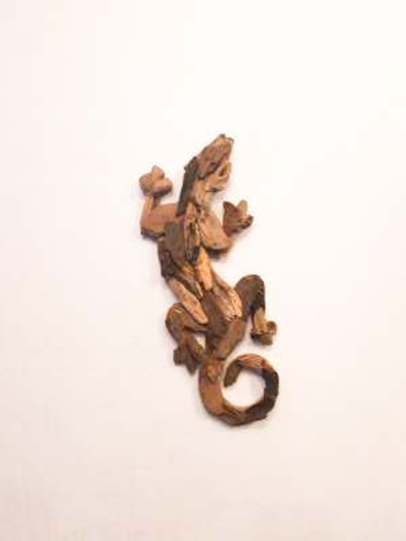 Unusual Driftwood Lizard Wall Art Unusual Driftwood Gecko Wall Etsy UK