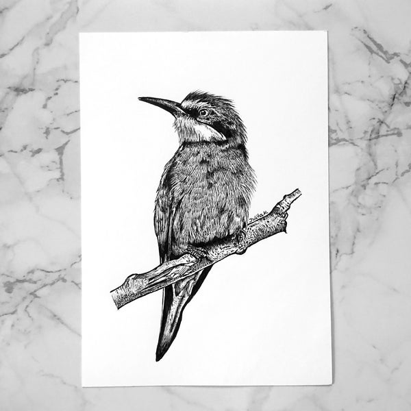 European Bee-Eater A5 Original Drawing for Garden Bird Lover, Wall Decor Detailed Animal Art, Vintage Wildlife Portrait, Gift for Her or Him